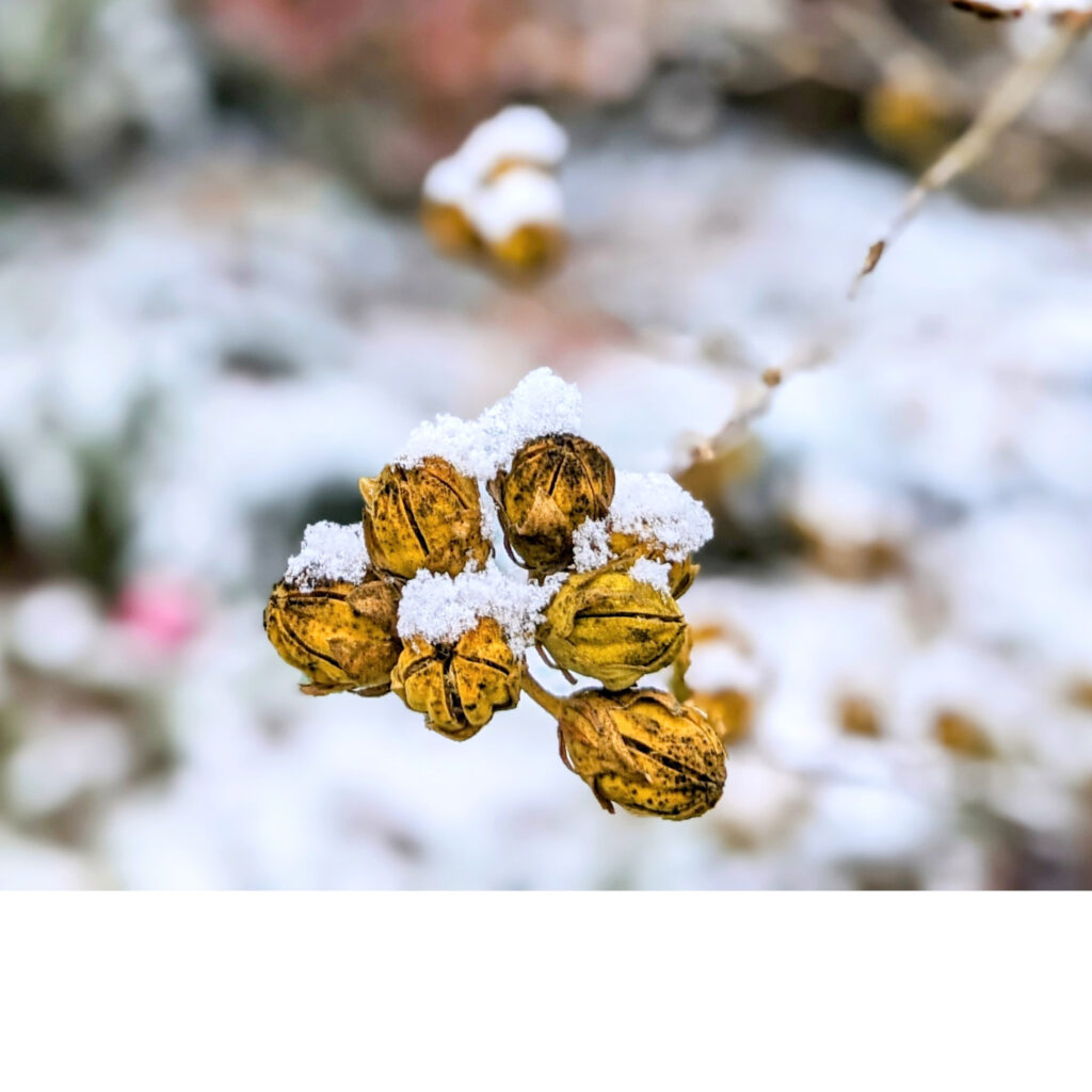 rozwój umiejętności językowe, język angielski, nauka języka angielskiego, kalendarz, edukacja, angielski dla dzieci, książka dla dzieci, karty pracy, nauka i zabawa, pies i kot, kod QR, edukacja domowa, naklejki, prezent, nauka z dziećmi, książka po angielsku