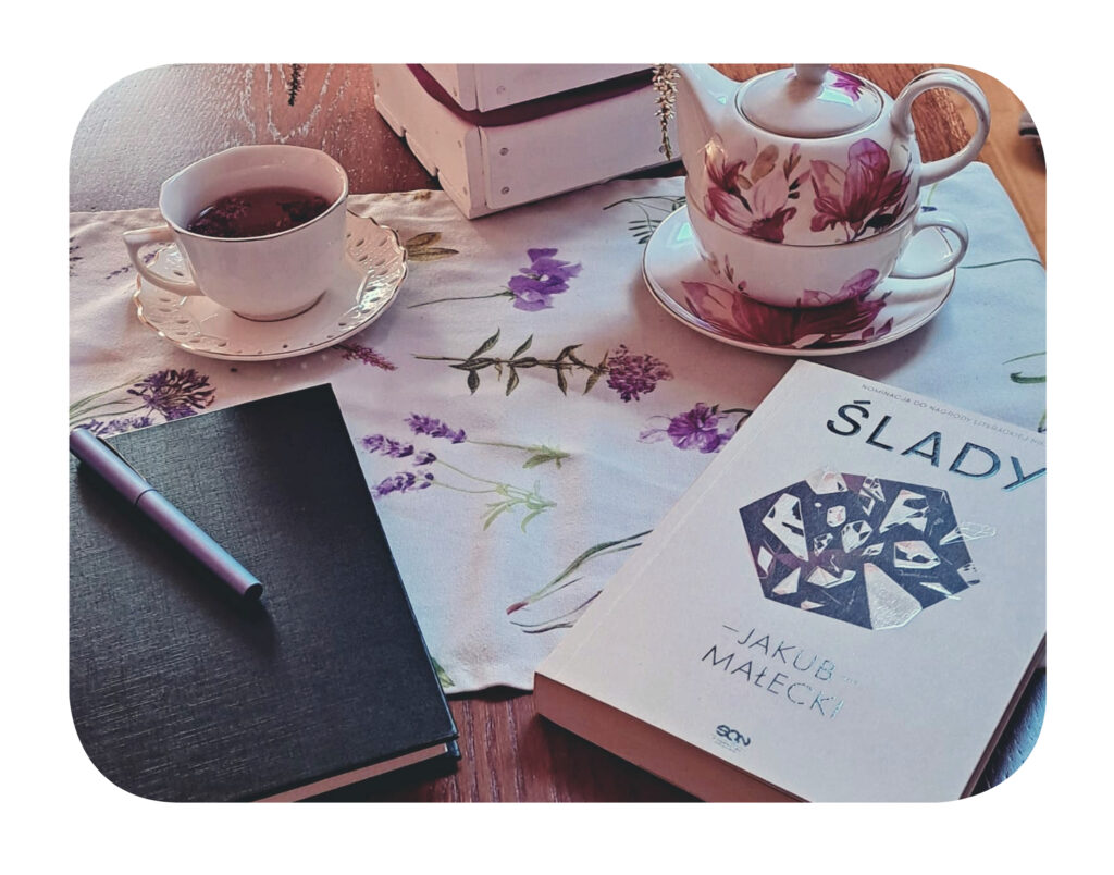 rozwój umiejętności językowe, język angielski, nauka języka angielskiego, kalendarz, edukacja, angielski dla dzieci, książka dla dzieci, karty pracy, nauka i zabawa, pies i kot, kod QR, edukacja domowa, naklejki, prezent, nauka z dziećmi, książka po angielsku