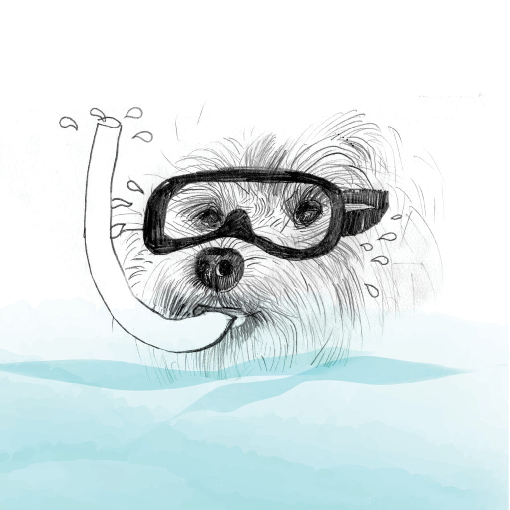 rozwój umiejętności językowe, język angielski, nauka języka angielskiego, kalendarz, edukacja, angielski dla dzieci, książka dla dzieci, karty pracy, nauka i zabawa, pies i kot, kod QR, edukacja domowa, naklejki, prezent, nauka z dziećmi, książka po angielsku