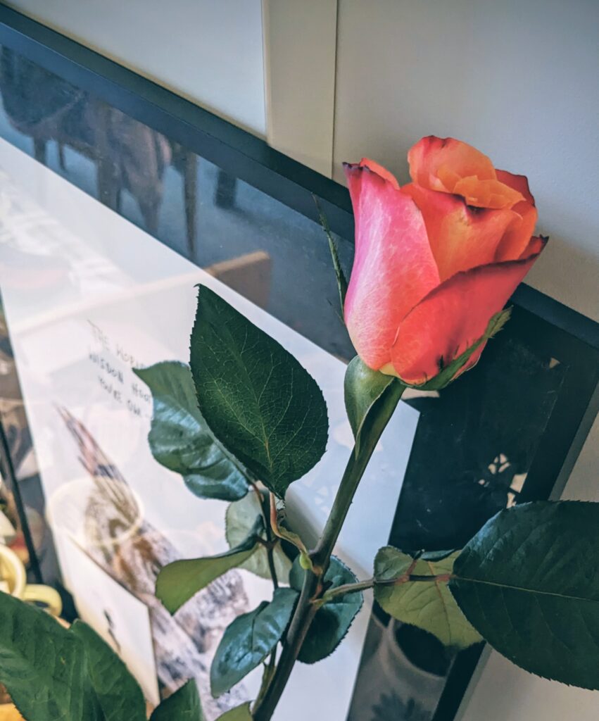 nauka języka angielskiego, materiały do nauki angielskiego, teksty po angielsku, recenzje książek, zimowe książki